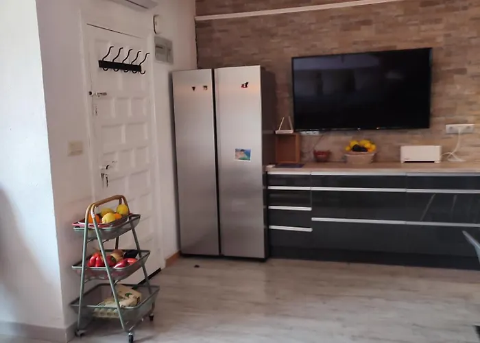 Casa Palangre 50 * 托雷维耶哈